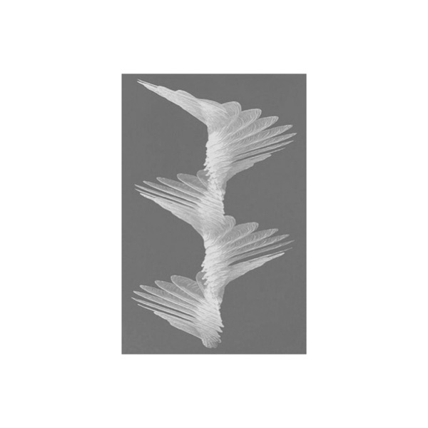 Leo – Helicopter Leaves&nbsp;[Interview]