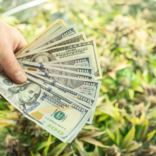 JOHN QUE – Latta Green&nbsp;[Interview]