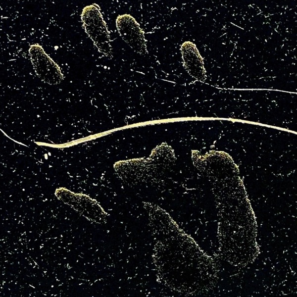 DBL A – Grabbing at my&nbsp;ankles